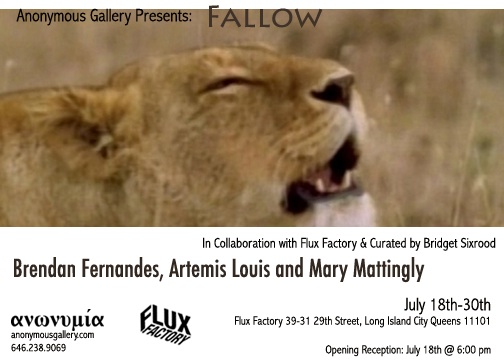 Fallow Flyer Fallow Flyer