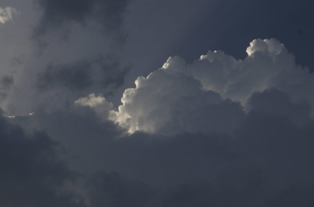 Anne Murray Cloud