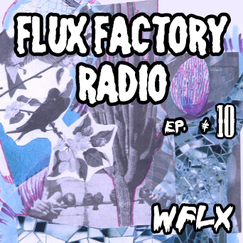 Fluxep10