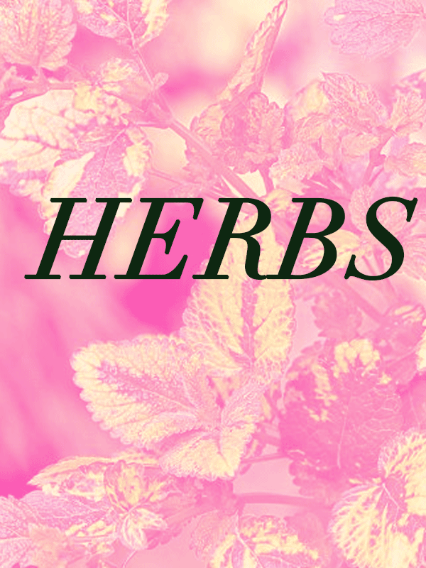 herbs