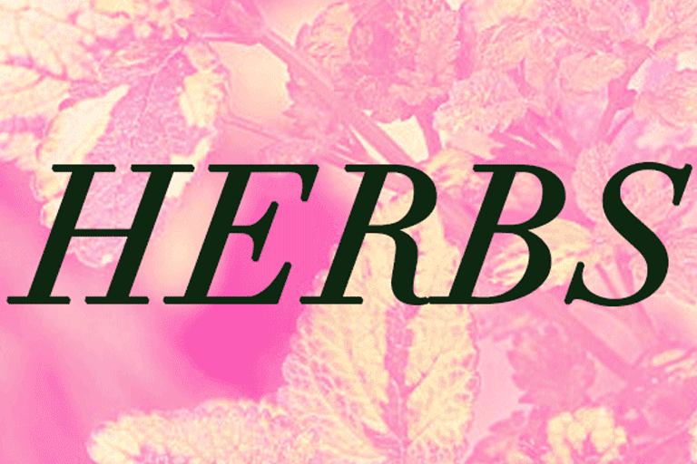 Herbs: April 11th, 7-9 pm at Silent Barn
Aromatherapy: May 9th, 7-9 pm at Flux Factory
Boudoir: May 27th, 7-9 pm at Flux Factory