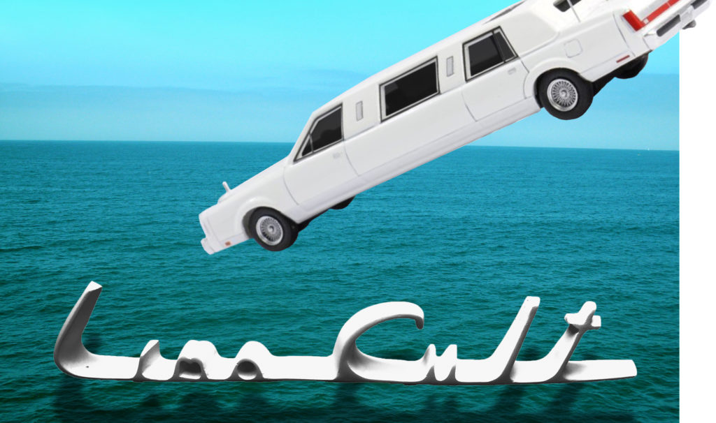 Flux Factory is pleased to present LIMO CULT, a collaborative installation including a luxurious 70 foot limousine, immersive sculptural and video installations with performances,The Culinary Equalizer, and interactive sacrificial deep frying at The Main Concessions. Produced by Springboard Collective, this is a one day event not to miss!
