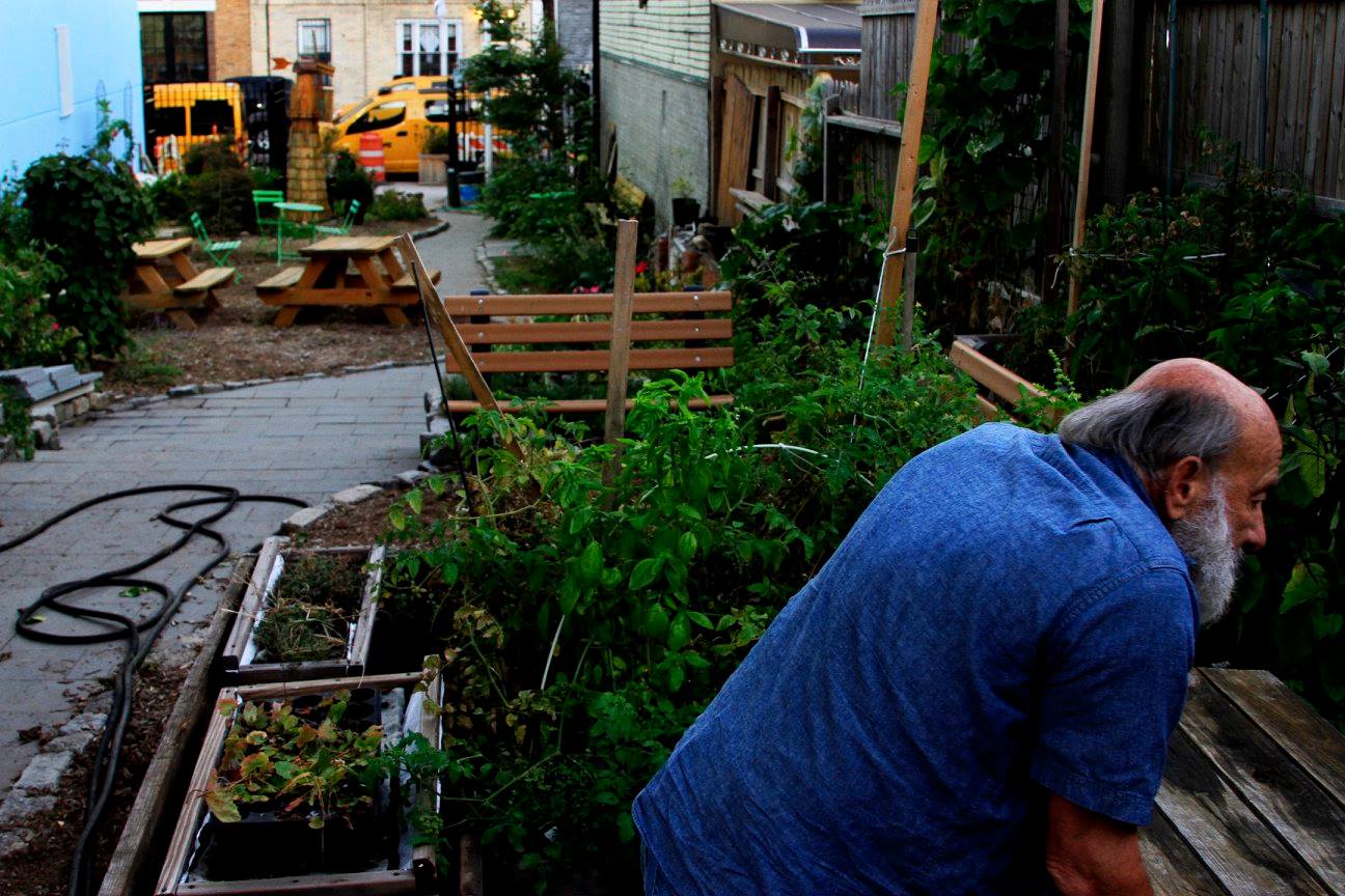 Windmill Community Garden