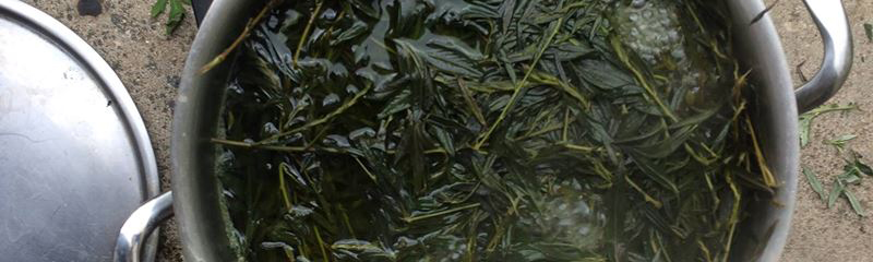 EatTheWeeds_banner