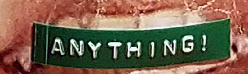 anything_banner