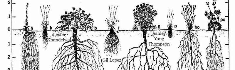 roots_fluxthursday_Bannerj