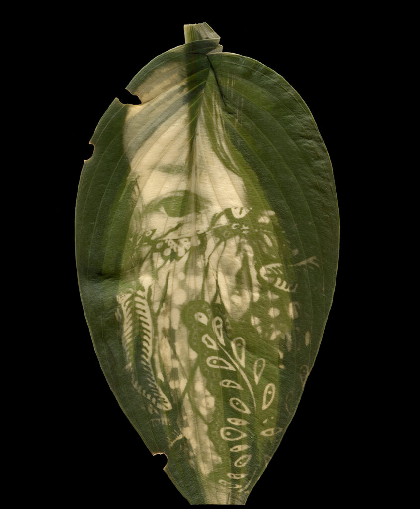 A self-portrait of Megan wearing a face mask is printed into the green chlorophyll of a hosta leaf. Her face takes up the whole leaf and only one eye is visible through her overgrown sweeping hair. The face mask is decorated with vine and leaf patterns.